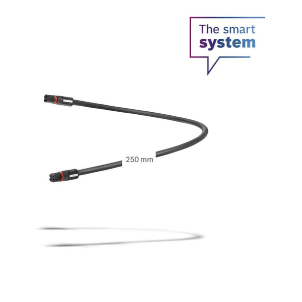 Cable de display de 250 mm (BCH3611_250)