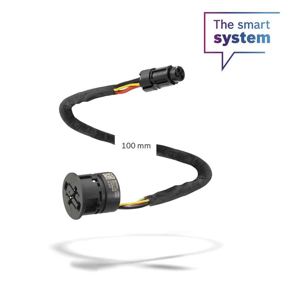 Cable de toma de carga de 100 mm (BCH3901_100)